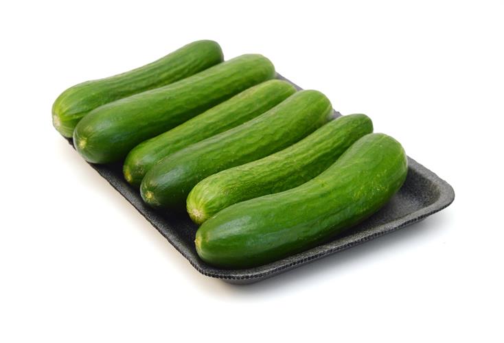 מלפפון בייבי