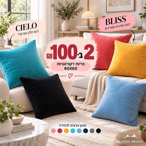 מבצע! 2 כריות נוי 60X60 איכותיות ב100 ש"ח!  | דגם - Cielo וBliss