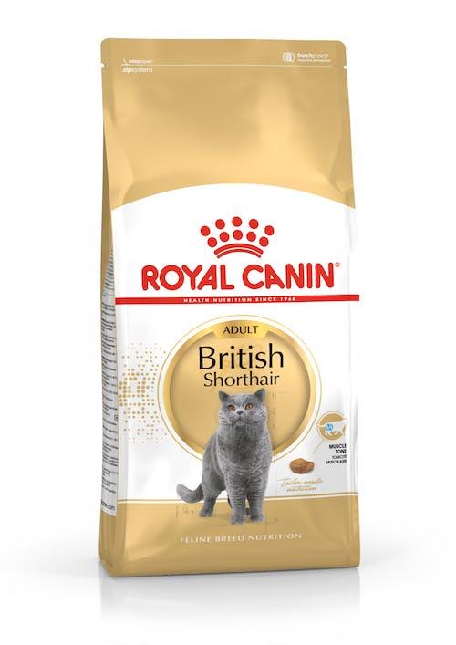 3182550756440 Royal Canin רויאל קנין לחתולים בריטים עוף וירקות 4 ק"ג