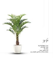 פרשליין - צמחיה מלאכותית - צמחים מלאכותיים - עץ דקל קנרי מלאכותי