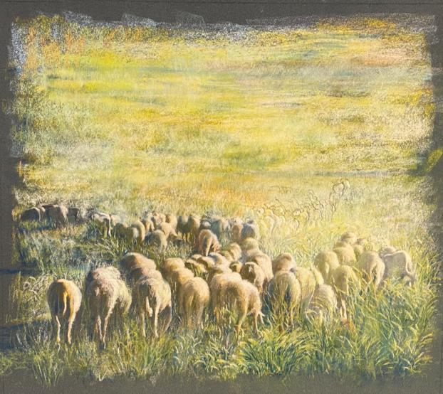 Photo 04-04-2023, 17 59 20