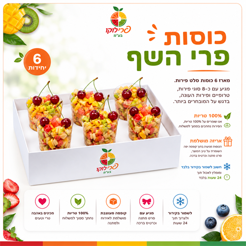 סלט פירות העונה - מארז 6 כוסות