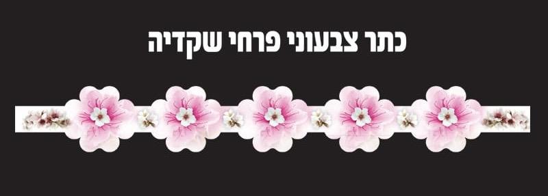 כתרים לט"ו בשבט - פרחים צבעוניים - 18 יח'