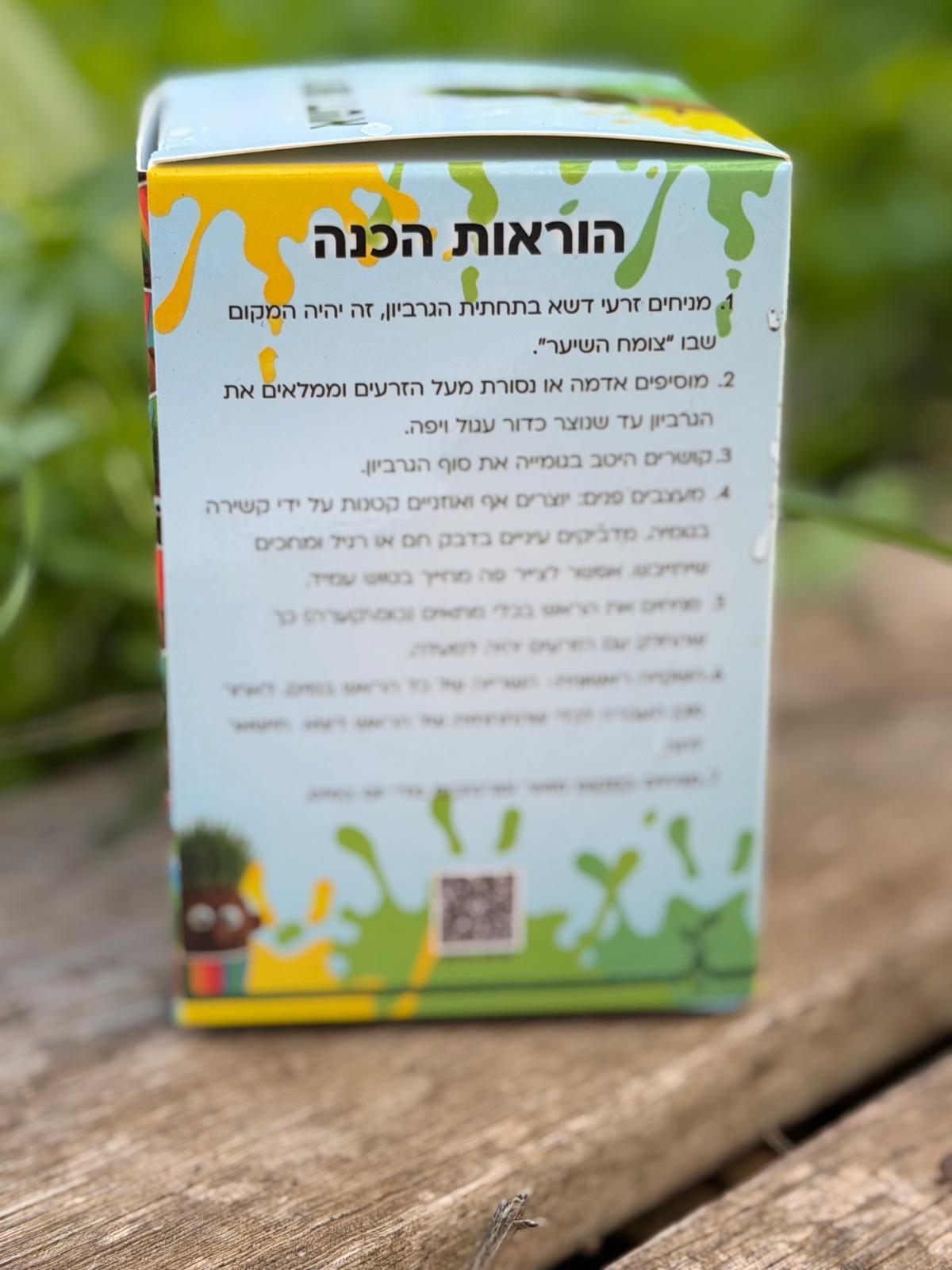 ראש דשא ראש דשא