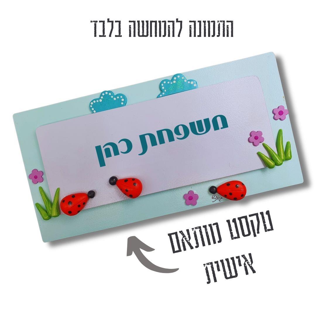 שלט לדלת, חיפושיות, תכלת, שלט עץ, שם משפחה, מתנה, עיצוב הבית, חימר פולימרי, אותיות וניל, עבודת יד, גיתוש, כניסה, שלט אישי.