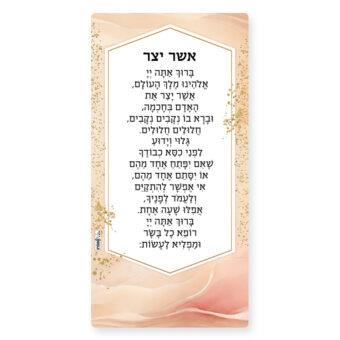 אשר יצר - מגנט