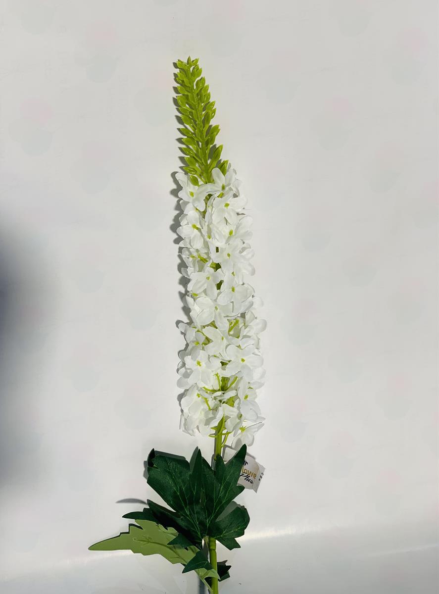 גבעול לבן #3