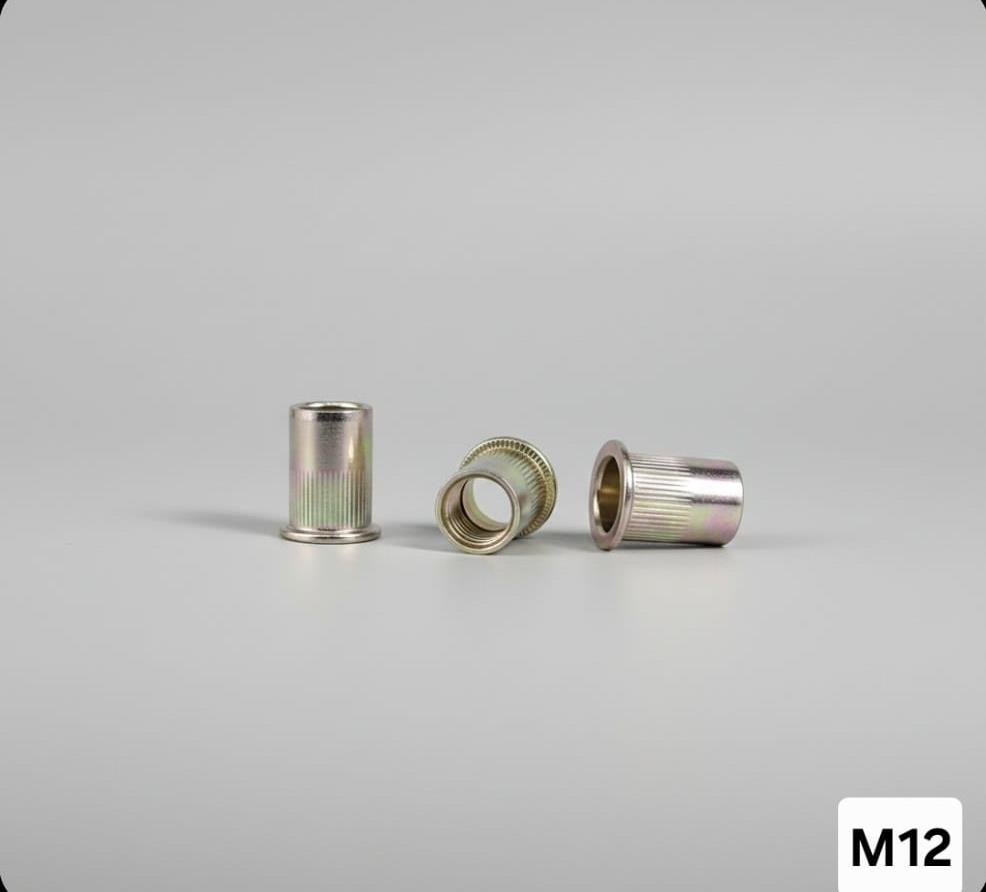 הברגה לשתילה עי מכשיר ריווט RIVE הברגה עיוורת להברגה 12 M המחיר ליחידה אחת קמפינג לייף