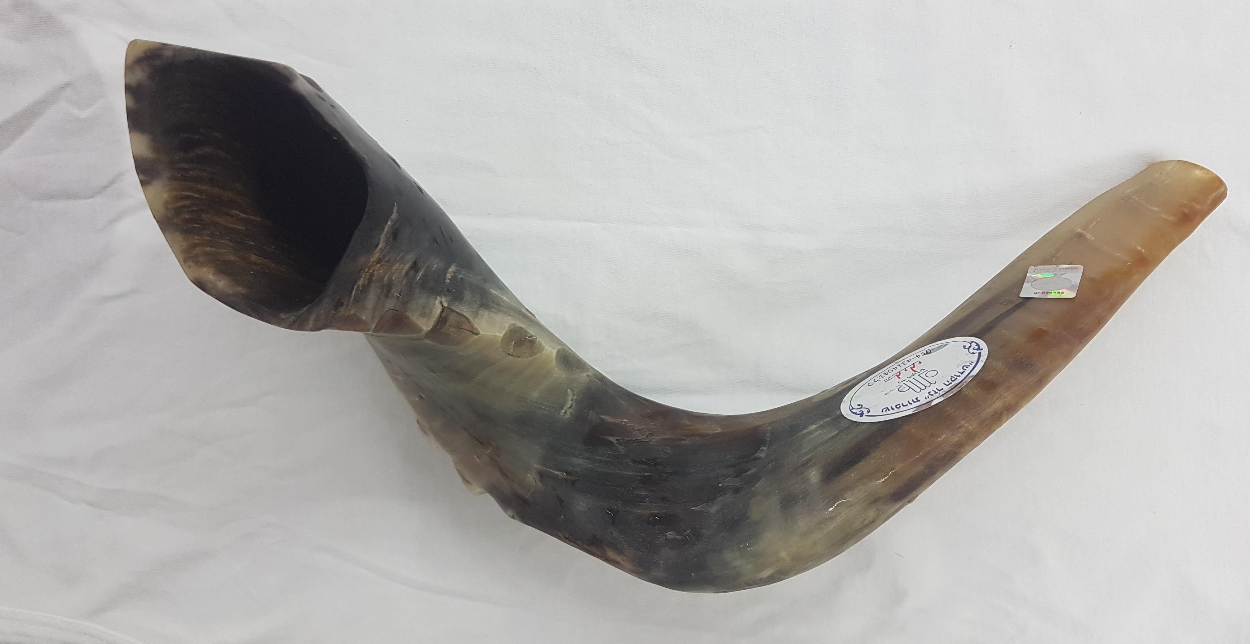 שופר מרוקאי - מיוחד