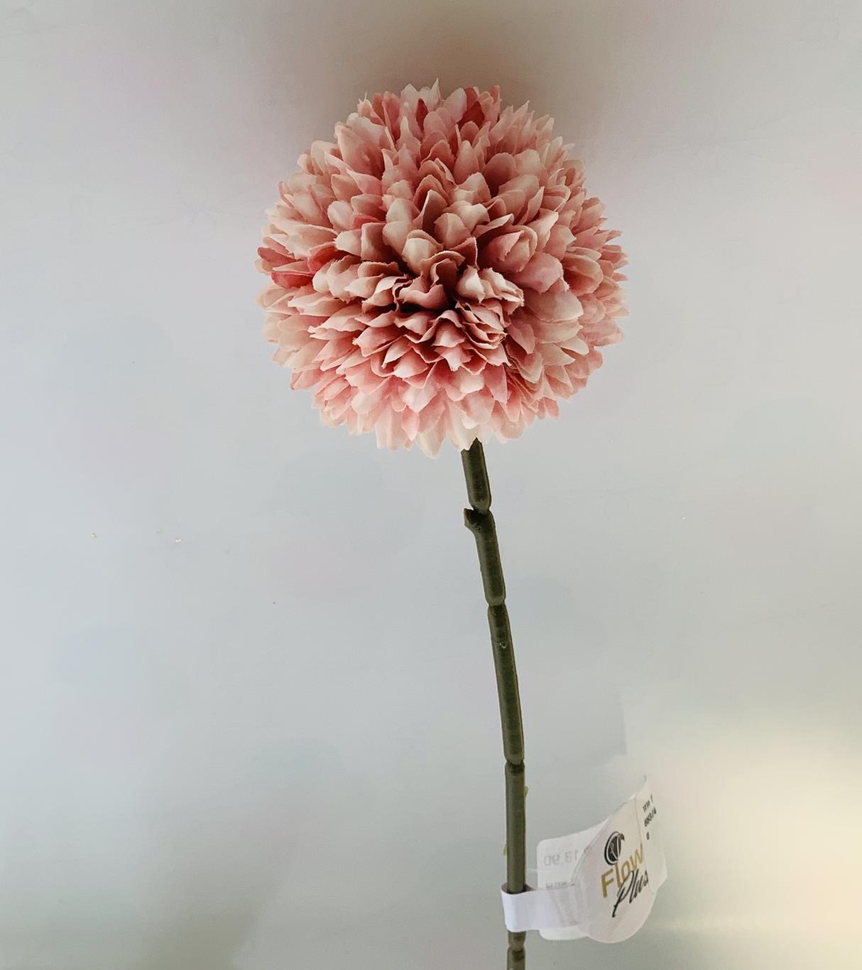 פרח-פונפון -ורוד SDW57891 #8