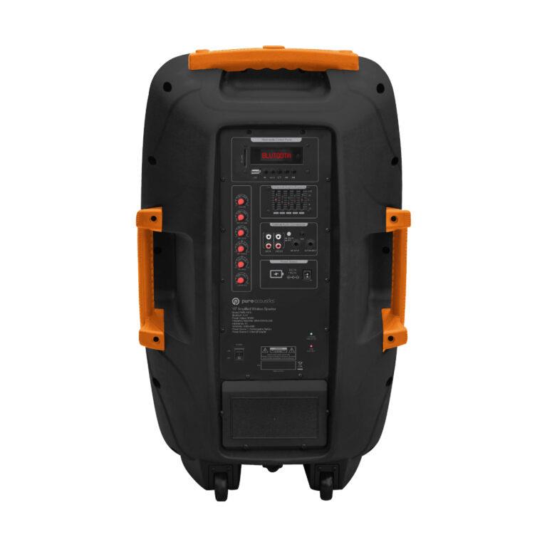 בידורית 2 מיקרופונים -600W PMW4415 פיור אקוסטיק Pure Acoustics