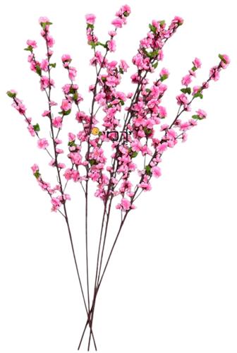 ענפי שקדיה סט 5 יחידות