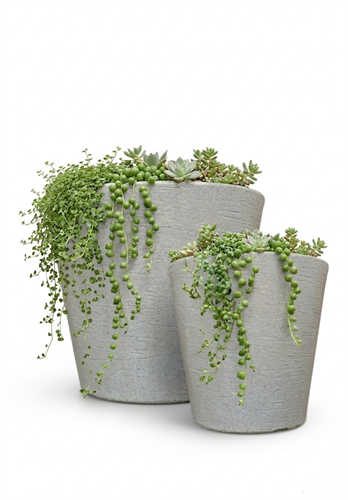 פרשליין - כדים ואדניות - כדי פוליאתילן - לינה בוז'ו