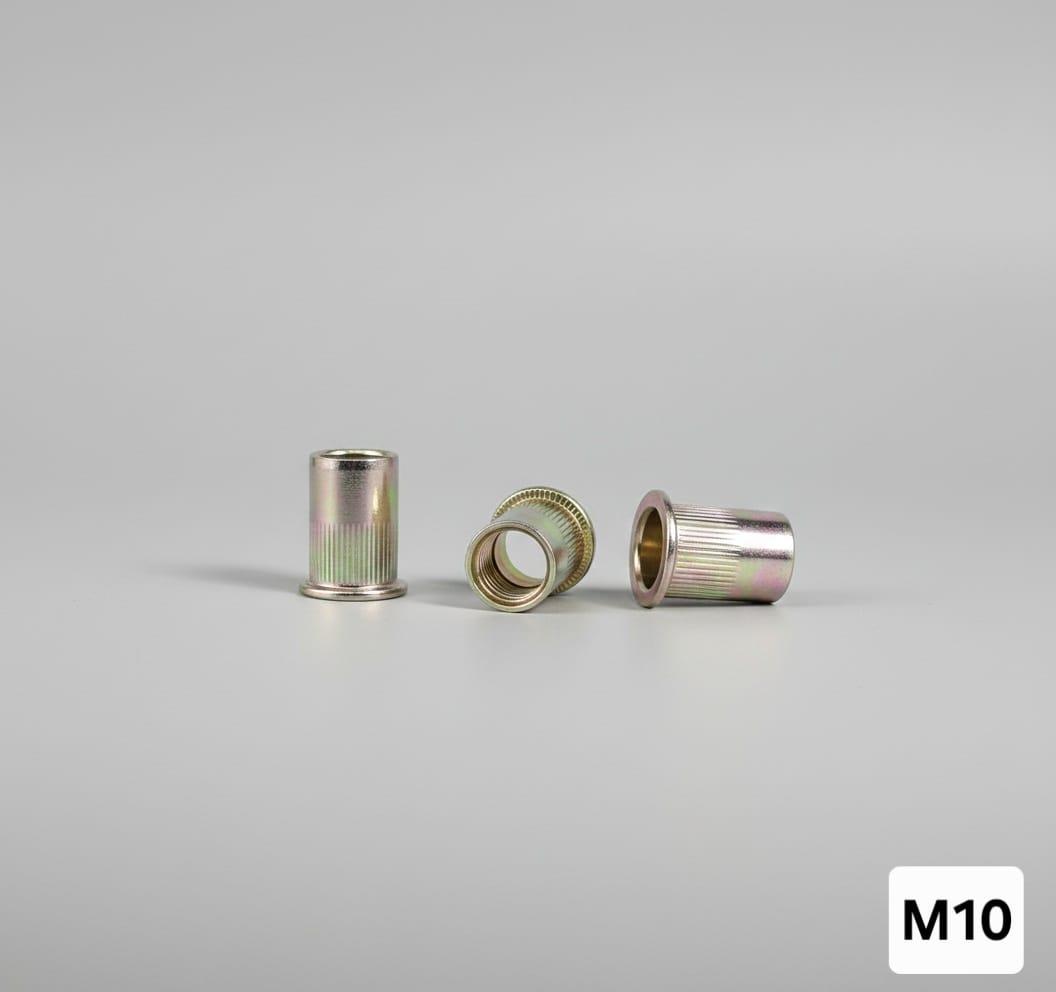 הברגה לשתילה עי מכשיר ריווט RIVE הברגה עיוורת להברגה 10 M המחיר ליחידה אחת קמפינג לייף הברגה לשתילה עי מכשיר ריווט RIVE הברגה עיוורת להברגה 10 M המחיר ליחידה אחת קמפינג לייף