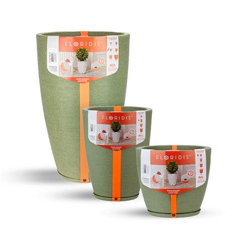 כדי אמסטרדה כדי אמסטרדה