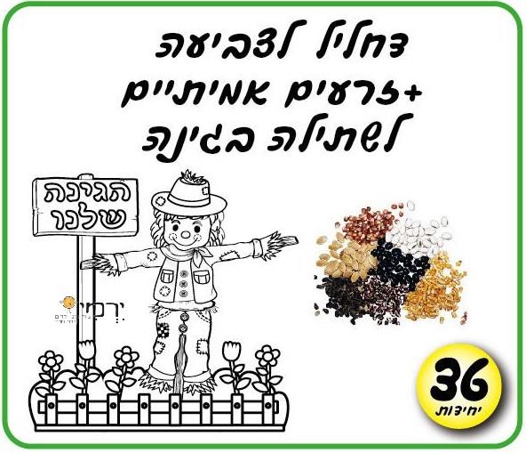עבודת יצירה דחליל + זרעים לשתילה בגינה