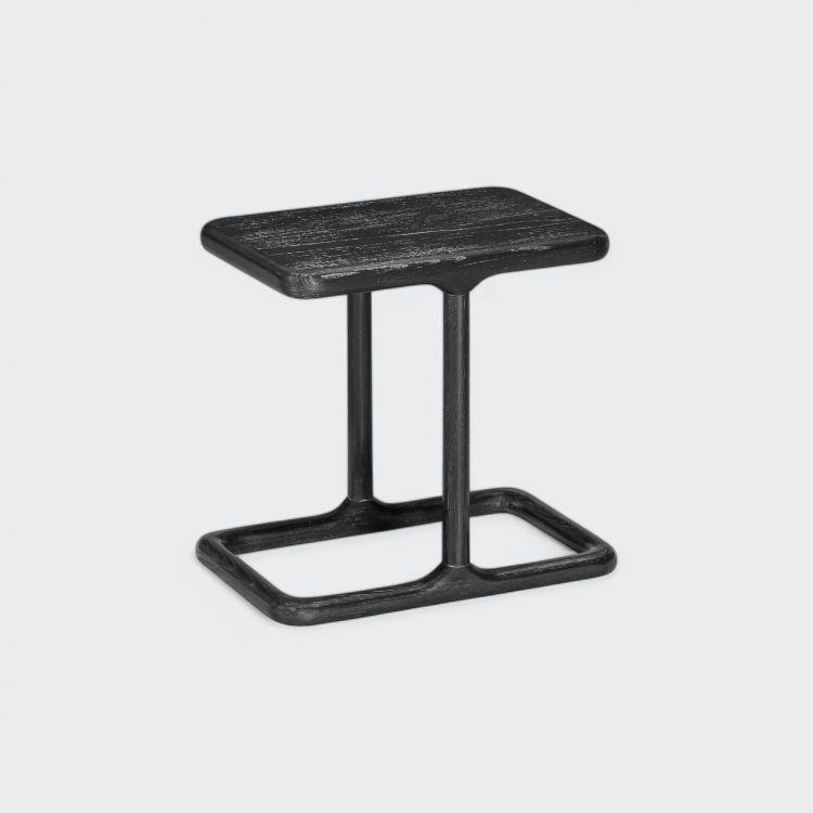 נשכן דגם ריי