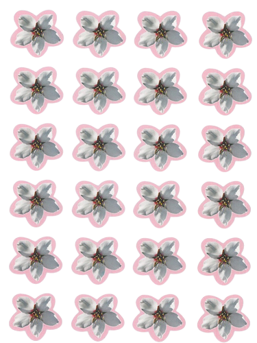 מדבקות פרחי שקדיה