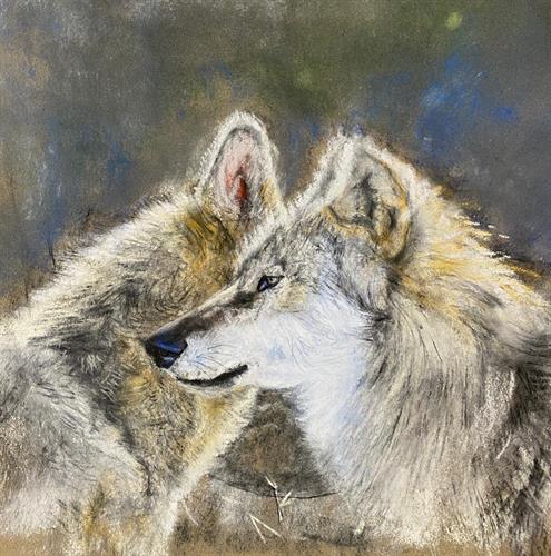 Photo 02-08-2023, 17 01 57 (1)