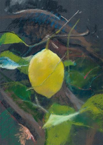 Lemon, 2020, chalk on paper, 30x20 cm