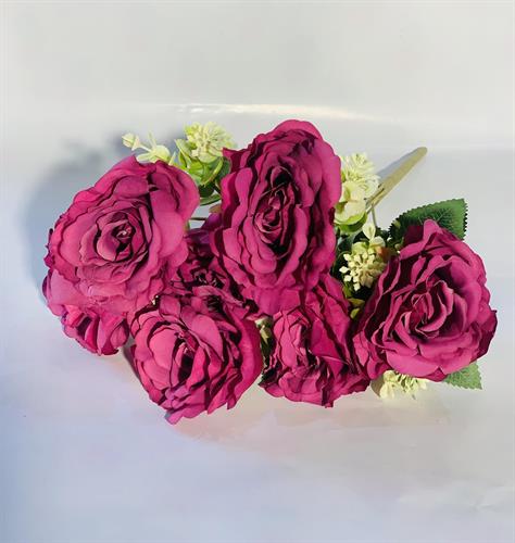 שושנים גדולים פוקסיה