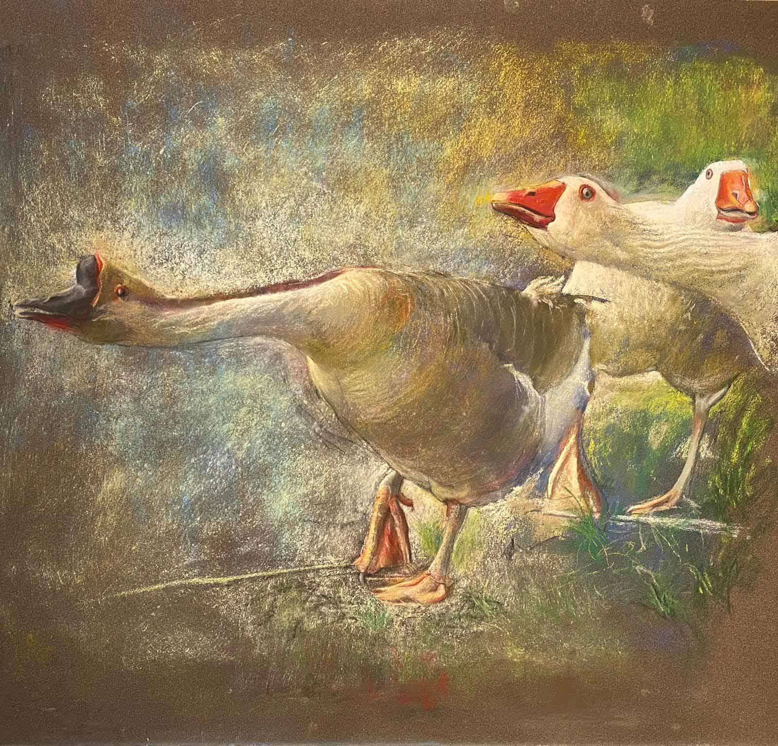 Duck, 2023, chalk on paper, 50x55 cm