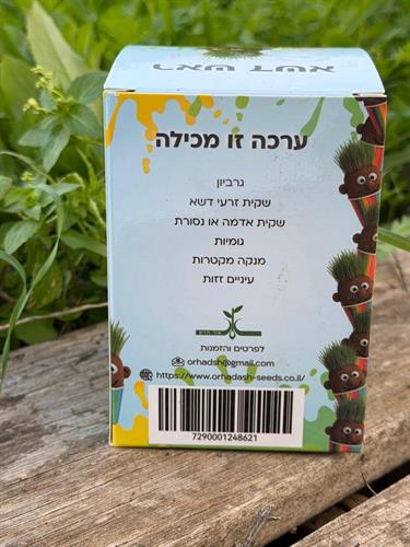 ראש דשא ראש דשא
