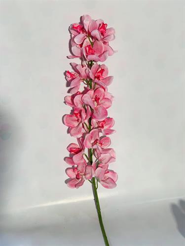 עלים צבעוני ורוד #4