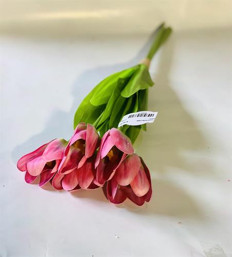 שושנים עם עלים ורוד #2