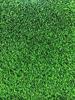 דשא סיננטי דגם קנזס