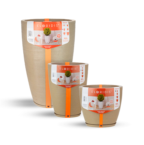 כדי אמסטרדה כדי אמסטרדה