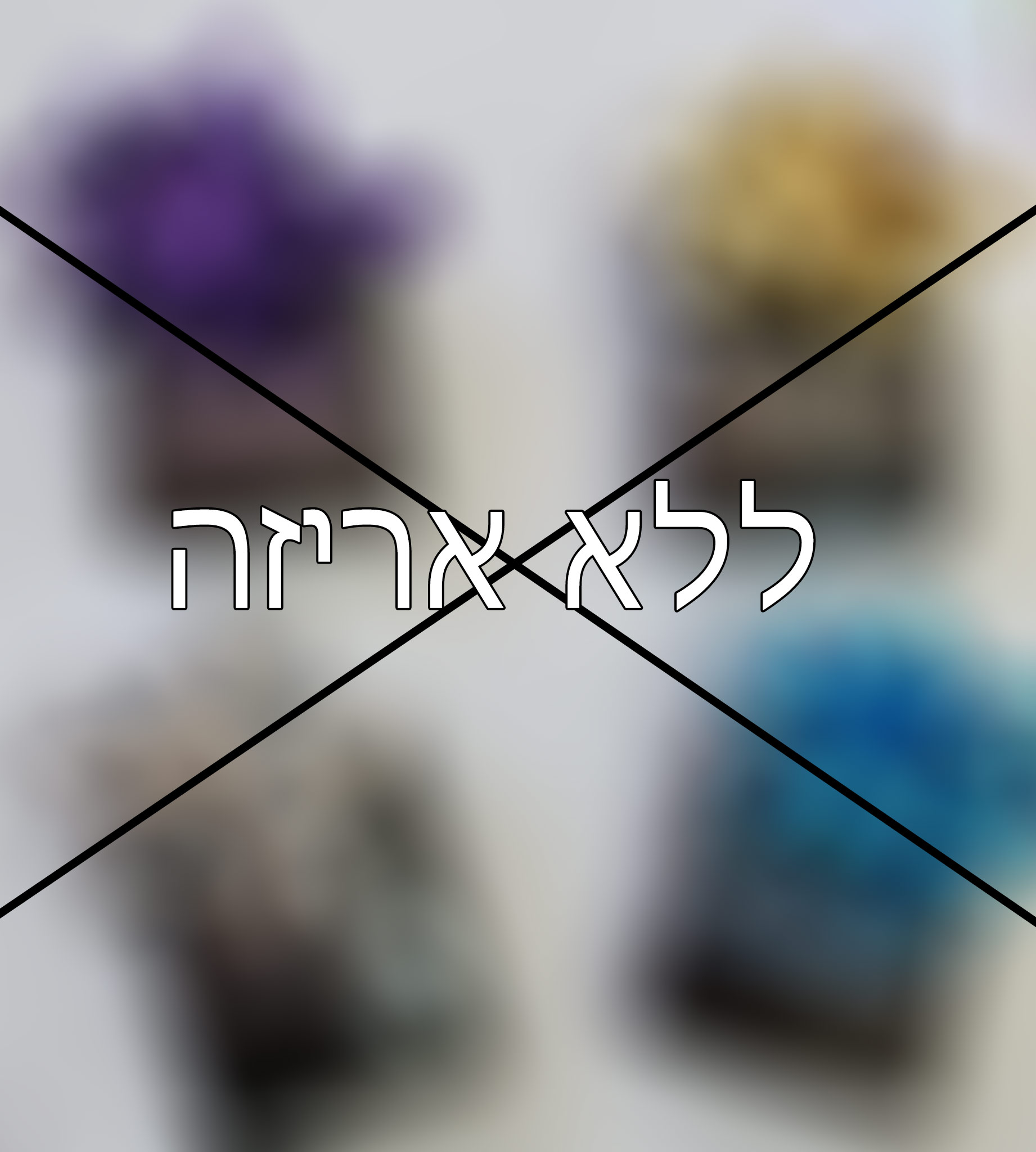 אני לא מעוניינ/ת באריזת מתנה