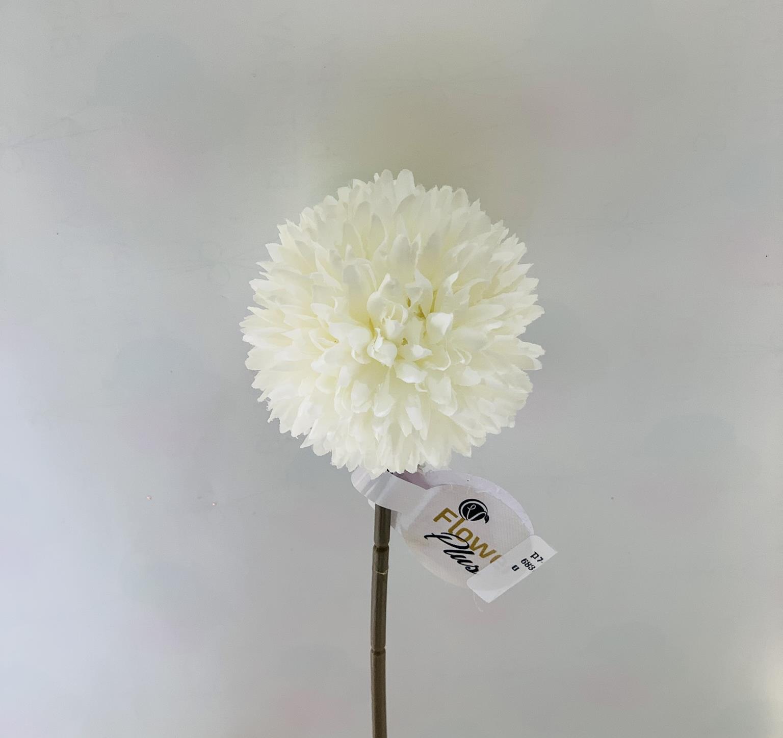 פרח-פונפון -לבן SDW57891 #1