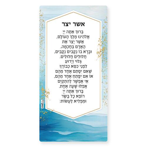 אשר יצר - מגנט