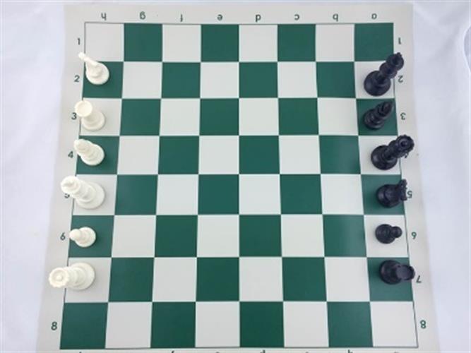 משחק שחמט PREMIUM QUALITY