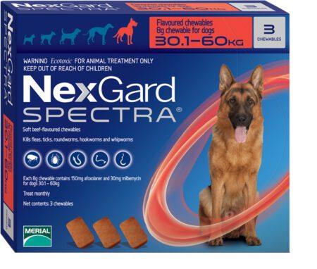 נקסגארד ספקטרה לכלב 60 30 קג Nexgard