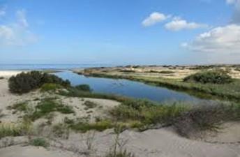 טיול משפחות שפך נחל שורק 28.2.26 טיול משפחות שפך נחל שורק 28.2.26