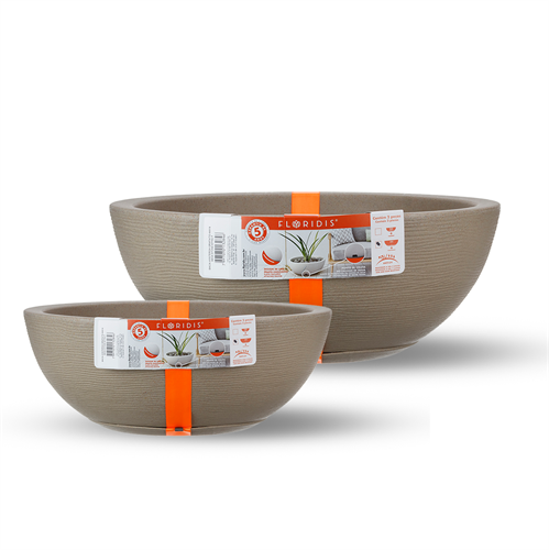 פרשליין - טבלת צבעים לכדי פלורידיס