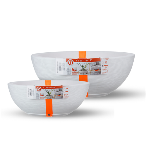 קערות אמסטרדה