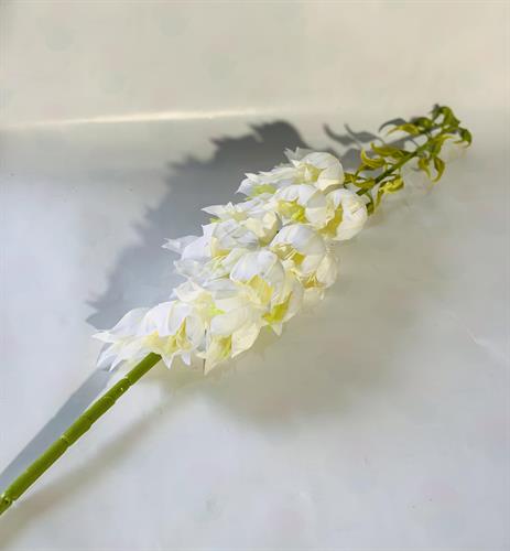 שושנים על גבעול לבן #1