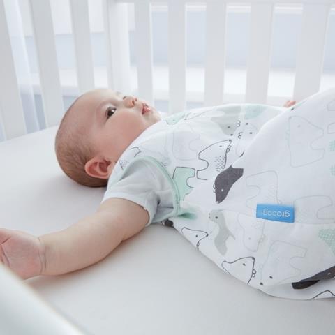 Grobag שק שינה דובים (0-6 חודשים / עובי 1) Grobag שק שינה דובים (0-6 חודשים / עובי 1)