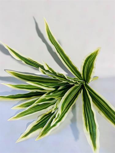 עלים חדים ירוק #2