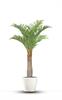 פרשליין - צמחיה מלאכותית - צמחים מלאכותיים - עץ דקל ארכיטופיניקס מלאכותי