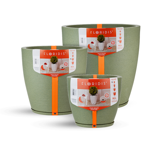 פרשליין - טבלת צבעים לכדי פלורידיס