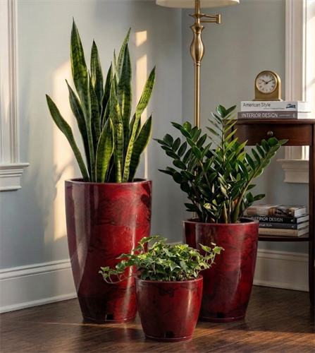 אמסטרדה גלייז