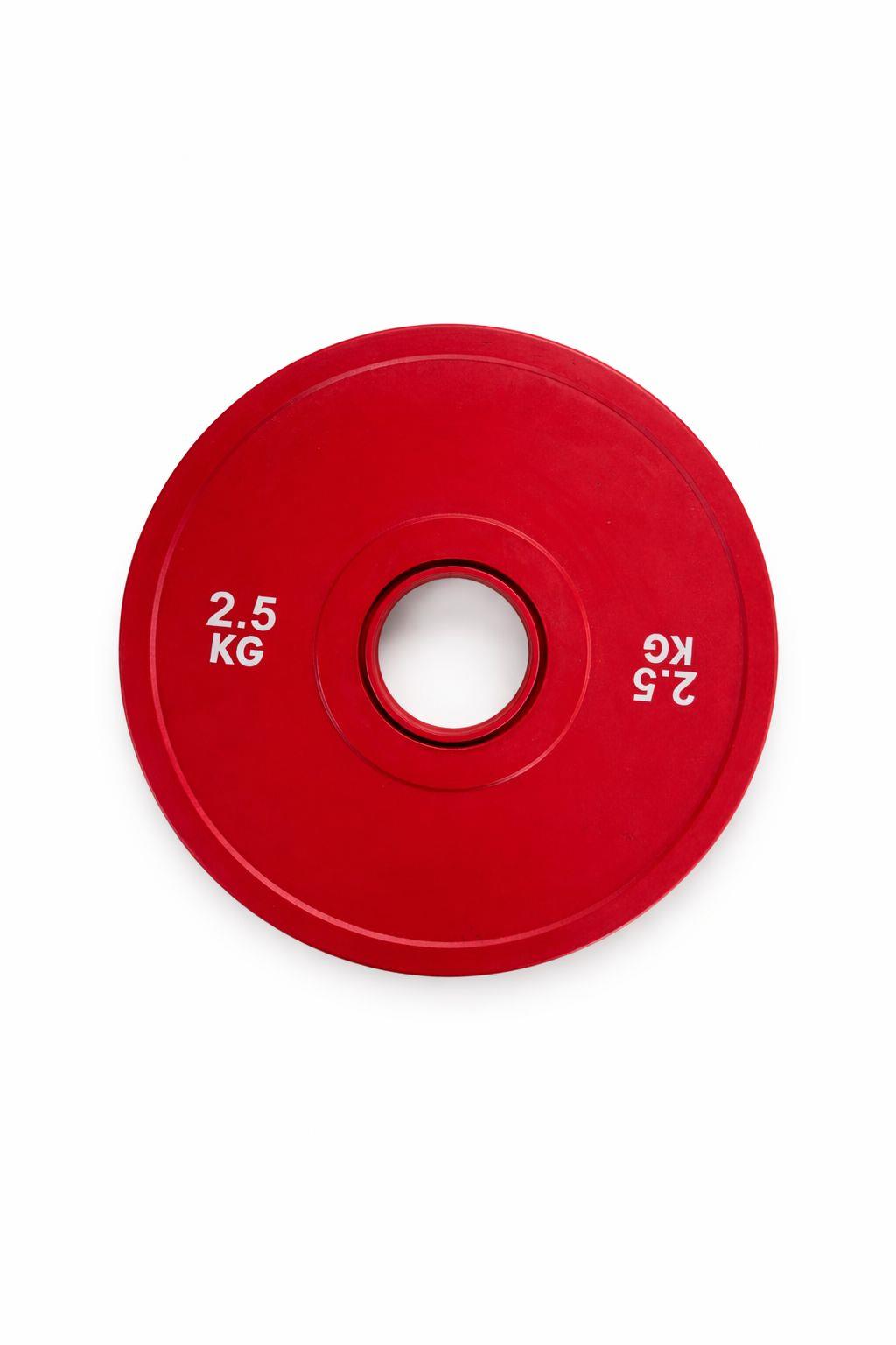 Mini Bumper Plates 2.5 KG – פלטות אימון