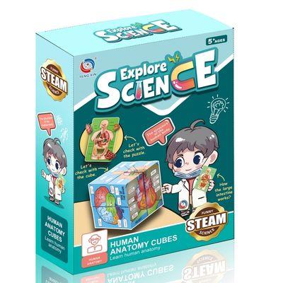 קוביות חקר אנטומיה: מסע ויזואלי לתוך גוף האדם בתלת-ממד