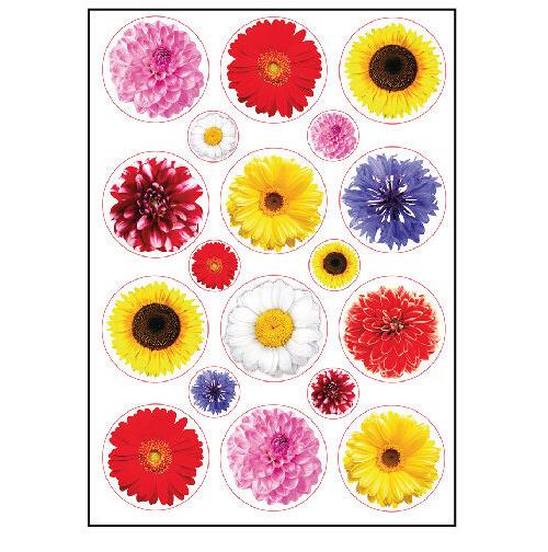 מדבקות פרחים גדולים וקטנים