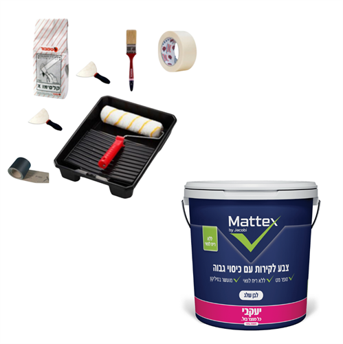 ערכת צביעה מושלמת לבית: צבע פנים "מאטקס" 18 ליטר + סט אביזרים מקצועי מלא