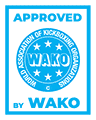 מגן עצם וכף רגל TOP TEN WAKO STAR LIGHT B/G